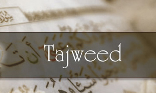 Tajweed Studies